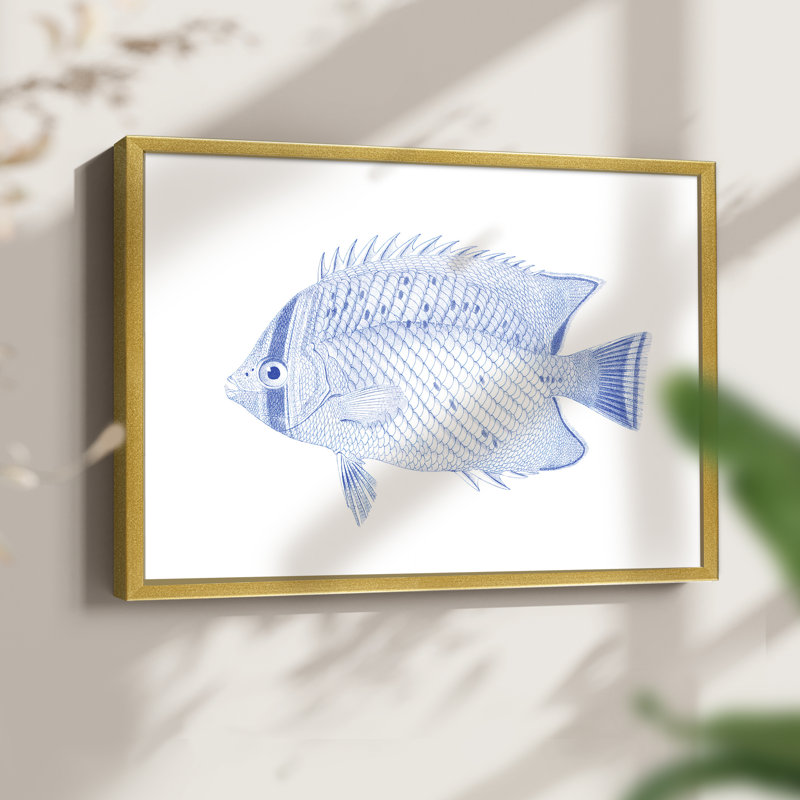 Poisson tropical bleu et blanc III - reproduction encadrée, H 11 po x l 14 po