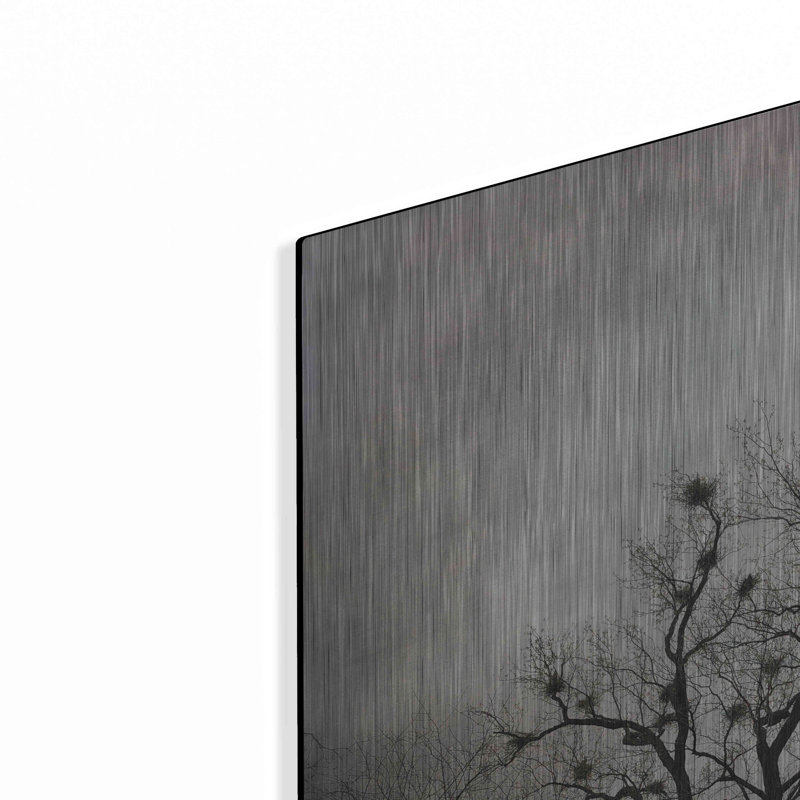 «The Heron Rookery» par Debra Van Swearingen, H 24 po x l 24 po