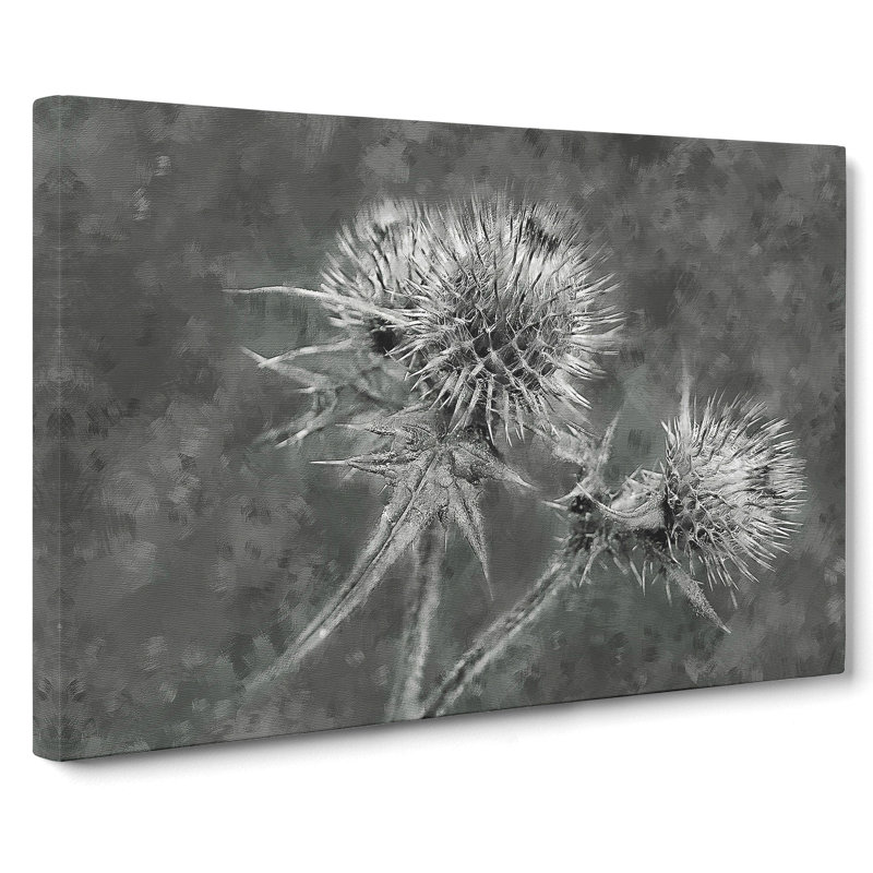 Thistle Flower Vol.5 - Wrapped Canvas, 35cm H x 50cm W x 3cm D