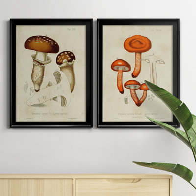 «Mushroom Variétés III», reproduction encadrée de qualité supérieure - prête à être accrochée