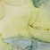 Premium Machine Washable Cerrito AMF504 Yellow Rug