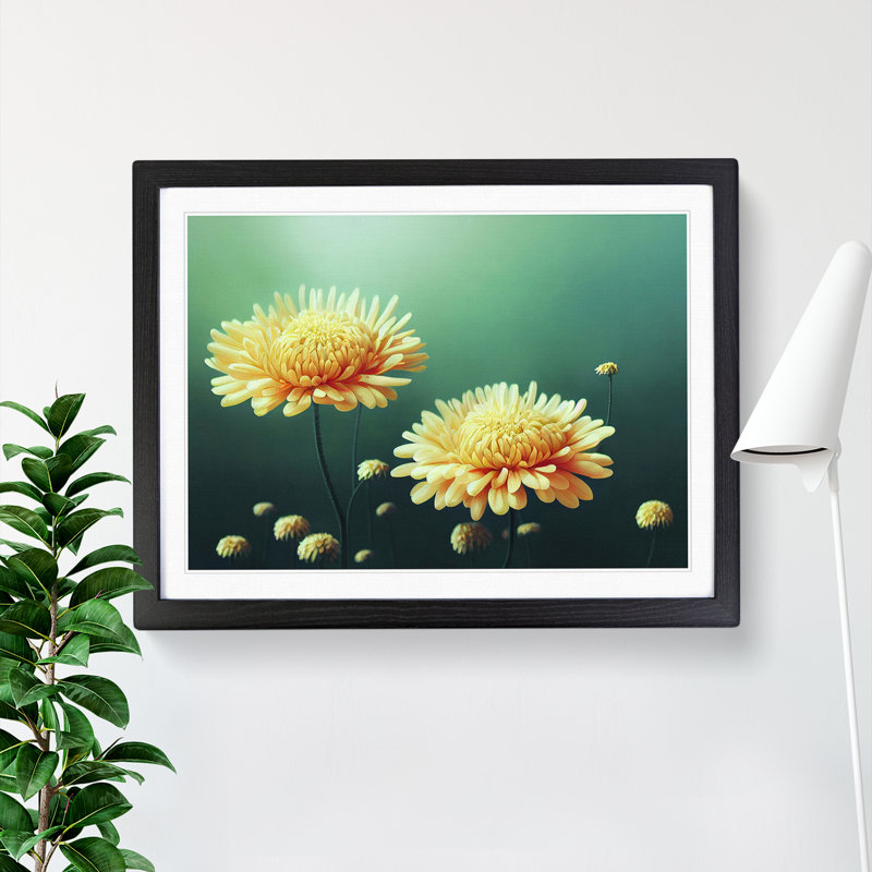 Intriguing Chrysanthemum Flowers - Single Picture Frame Painting, Black, 46cm H x 64cm W x 2cm D