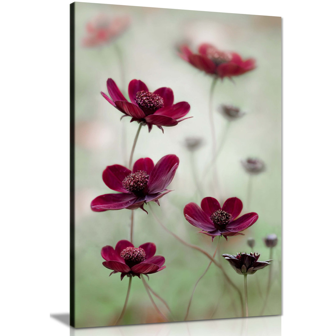 Pink Cosmos - Wrapped Canvas Photograph