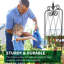 Treillis de jardin en treillis de fer H 71 po x l 15 po Cassanova pour le soutien des plantes grimpantes