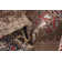 Yates Oriental Indoor Rug