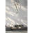 Aliha 25 - Light Cluster Pendant-1695494841
