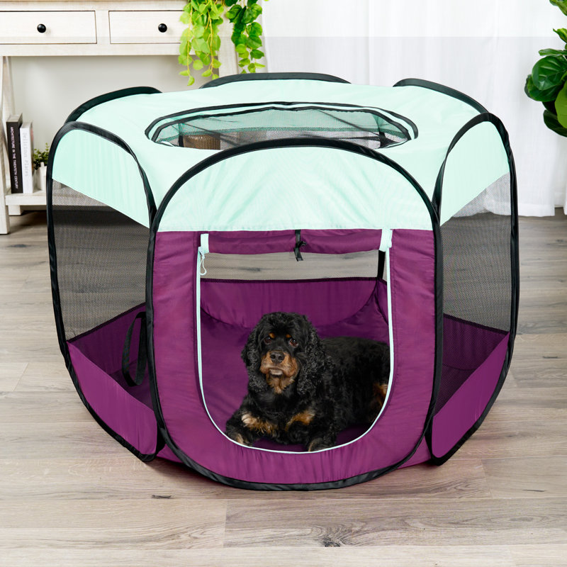 Panel Mesh Pet Playpen With Door, 29" H x 42" W x 36" D, Purple