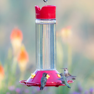 Mangeoire à colibri en verre Minnesota