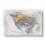 Charming Robin Bird - Wrapped Canvas-56647034
