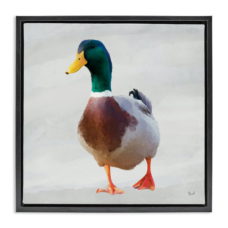 Cadre flottant Mallard Duck Squawking, design par Renel Peters, H 25 po x l 25 po, Cadre flottant noir de jais