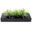 Artificial Grass in Planter