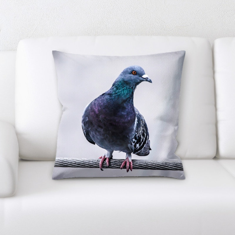 Coussin de pigeon