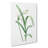 Peruvian Daffodil Flower by Pierre-Joseph Redoute - Wrapped Canvas Print-55366634