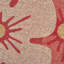  Paillasson Home