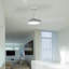 Oxfield 137cm Ceiling Fan with LED Lights-482059353