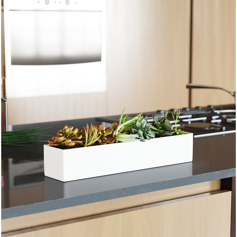 Boîte à fleurs en plastique Geo Series, H 3 po x l 16 po x P 3,5 po, Blanc, Ensemble de 1