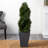 4ft. Cypress Double Spiral Topiary Artificial Tree in Slate Planter UV Resistant (Indoor/Outdoor)