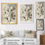 Monochromes gris botaniques œillets - œillets, impression d'art mural-106110173-134346200
