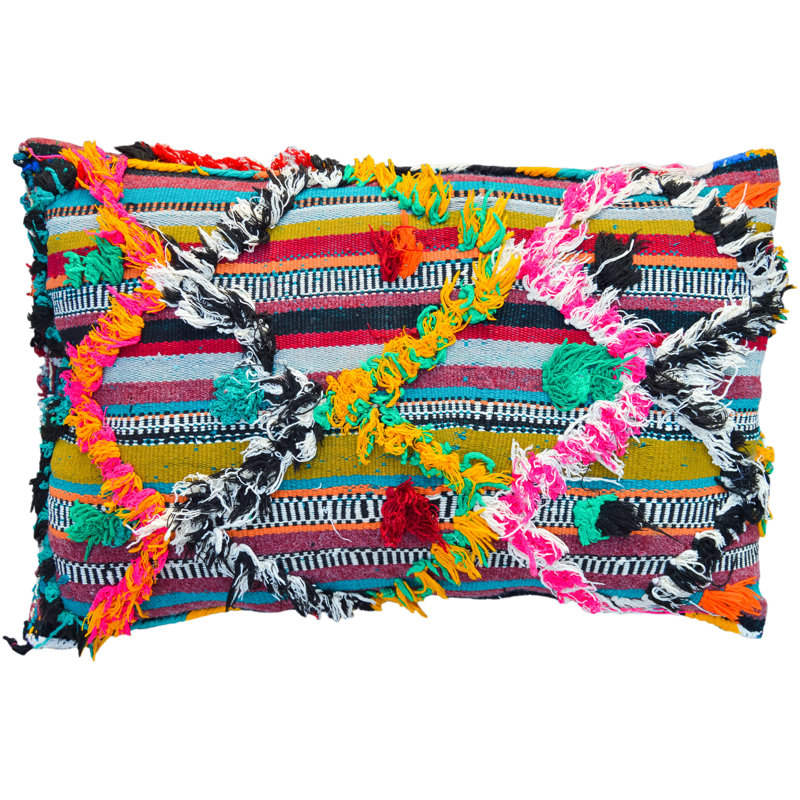 Fringed Reversible Throw Pillow