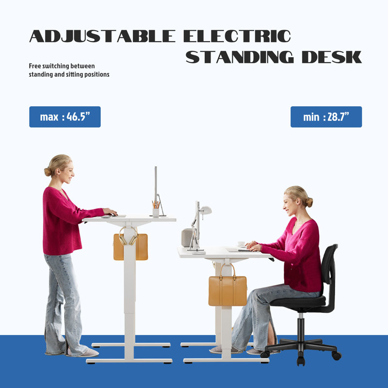 Office Set: Mesh Office Chair And Electric Standing Desk, Black/White
