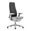 Haworth Fern Mesh Task Chair-86611502-72023944