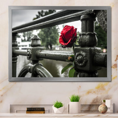 Rose rouge sur un pont - photographie sur toile encadrée