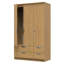 Bhodhini Manufactured Wood Wardrobe