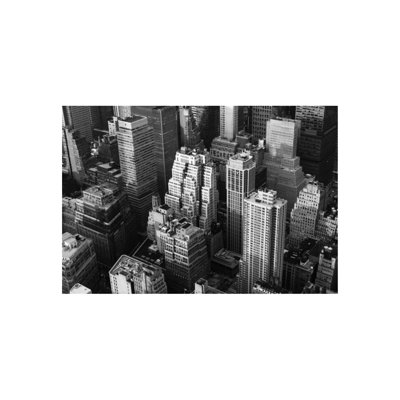 Concrete Jungle III Print by Sofia Fox