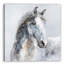 Mordern Horse Ar - reproduction d'art sur toile tendue-1721451640