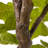Faux Fiddle Leaf Tree-Faux Fiddle Leaf Tree-9'-644197787