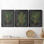 «Dramatic Pine I», ensemble de 3 peintures sur toile encadrées-334781479-334781473