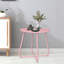 Table d'extérieur en fer rose