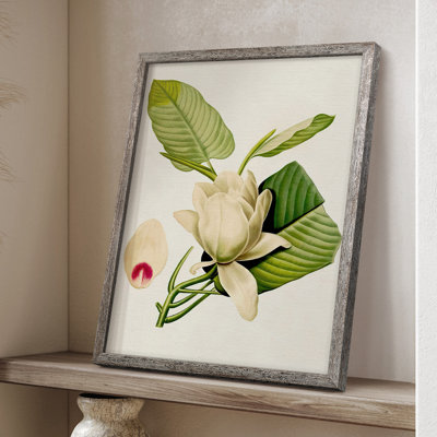 Magnolia Flowers II Framed Print - Solid Wood