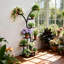 Plant Stand
