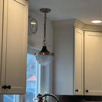 Willa Arlo Interiors Layla 1 - Light Bowl Pendant & Reviews