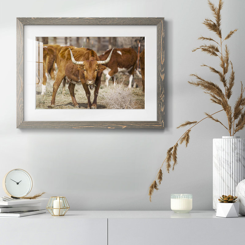 Longhorns, H 22 po x l 32 po x P 1,5 po, Gris