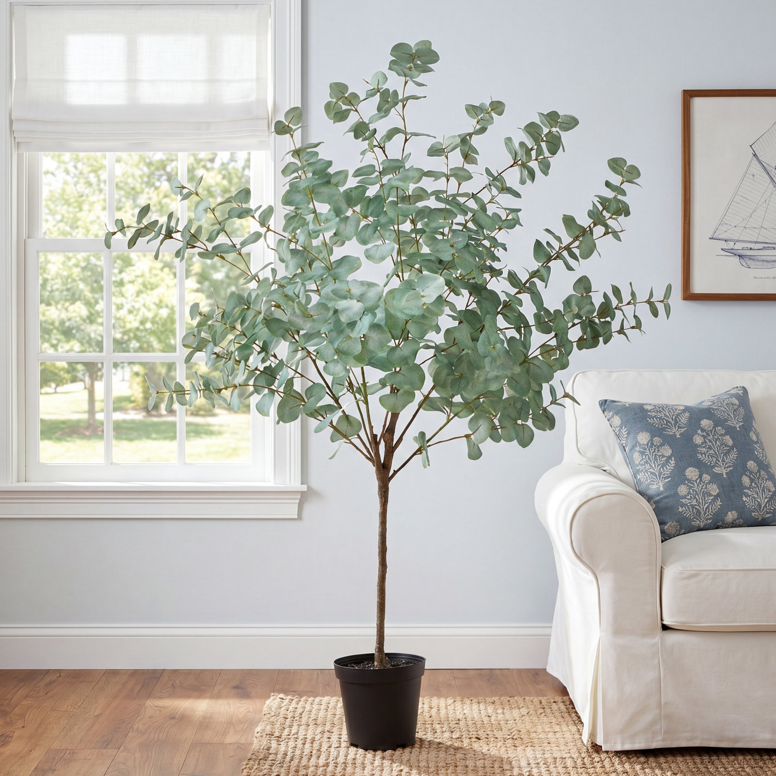 55" Eucalyptus Tree in Pot