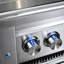 Lynx 42" Professional Built-In Grill with Rotisserie-34114323