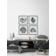 Coquillages gris - ensemble de 4 reproductions de photos-30011360