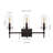 Chuperosa Bohemian Farmhouse Iron/Glass LED Vanity-67637906-119338788
