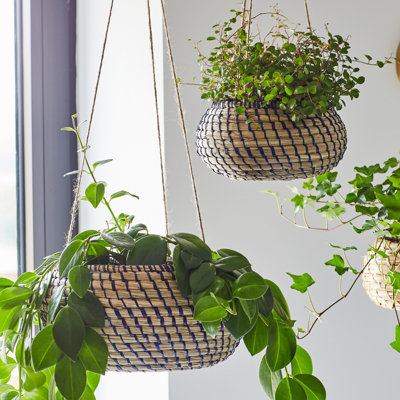 Hanging Seagrass Navy Planter Set of 2