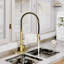 Robinet de cuisine Spring standard avec douchette à double fonction et plaque de pont-76655460