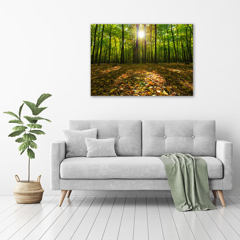 Forest - No Frame Print on Glass