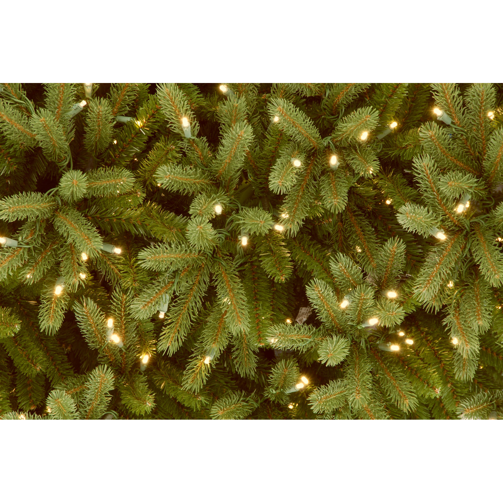 The Holiday Aisle® Jersey Fraser Fir Pencil Slim Tree with Clear Lights, 7.5'