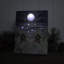 Toile de table illuminée 8 x 6 Ohler - Moonlight Christmas