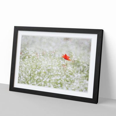 Lone Poppy Flower - Picture Frame Graphic Art