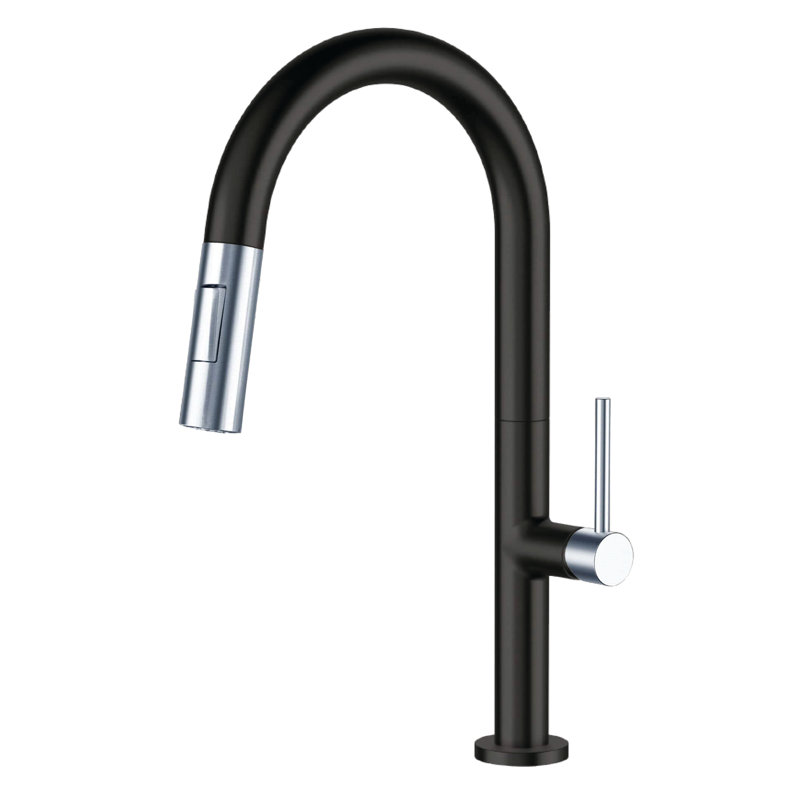 Pull Down Single Handle Kitchen Faucet with Accessories, Black/Polished Chrome