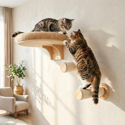 Cat Bed with Scratching Post Set