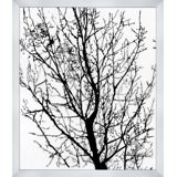 U Tree Painting