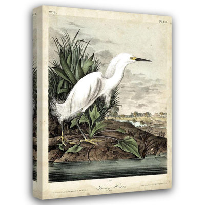 Reproduction d'art sur toile tendue par Beachcrest Home ™, Audubon, John James, Snowon Heron